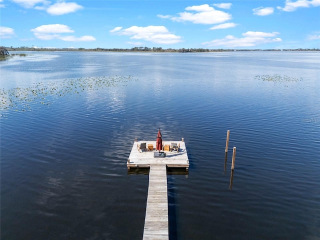 dock area featuring a water view