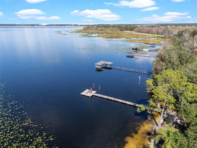 aerial view with a water view