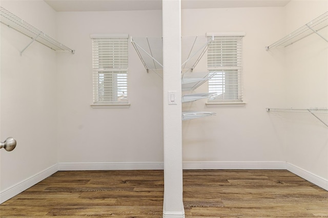 spacious closet featuring dark hardwood / wood-style floors