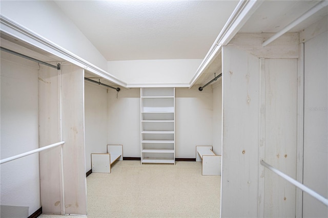 spacious closet with light carpet