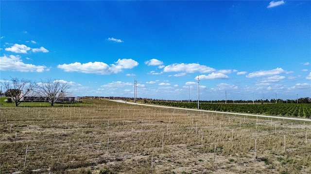 view of property's community featuring a rural view