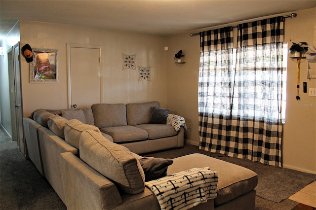 living room featuring carpet