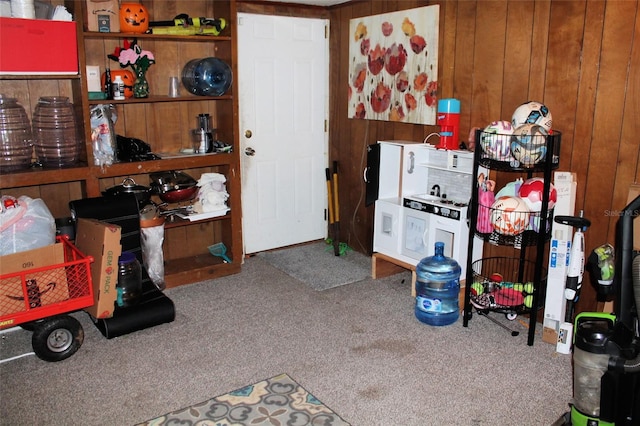 miscellaneous room with wooden walls and carpet flooring