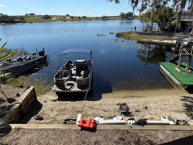 dock area with a water view