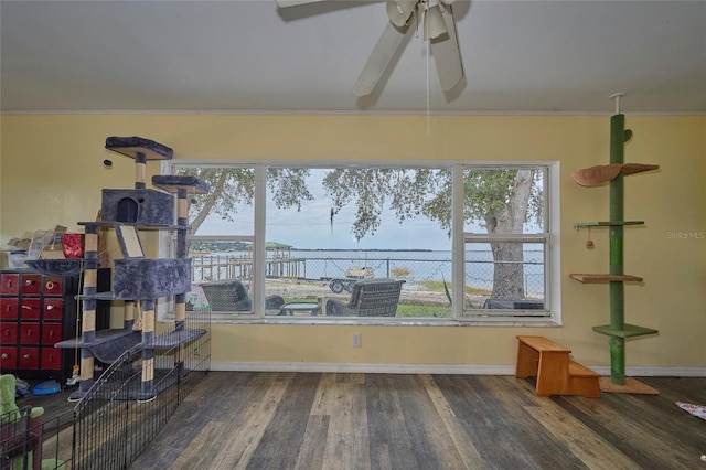 interior space featuring ceiling fan