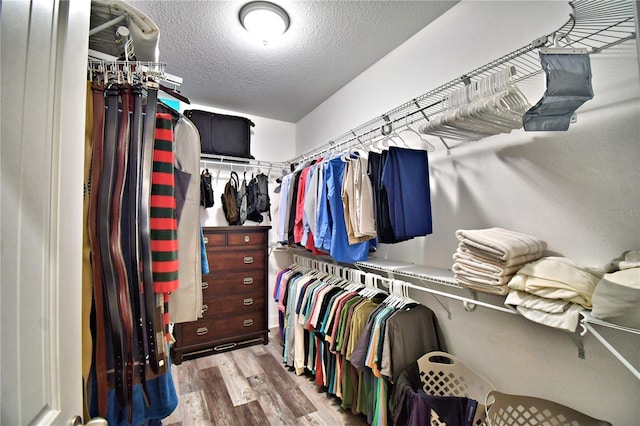 walk in closet featuring light hardwood / wood-style flooring