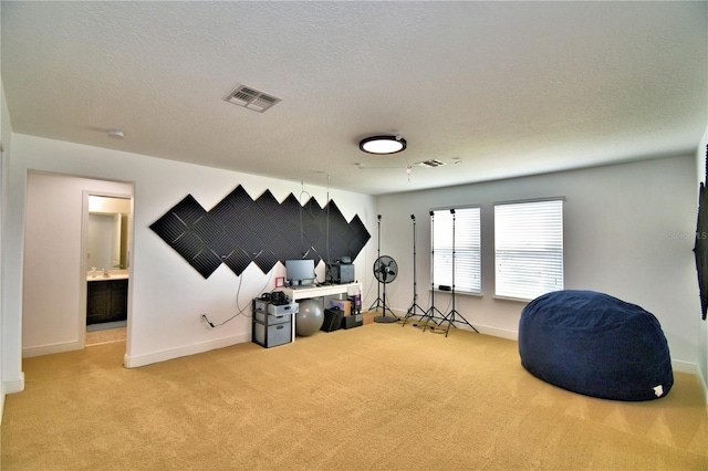 miscellaneous room with carpet flooring and a textured ceiling