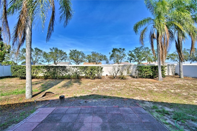 view of yard with a patio area