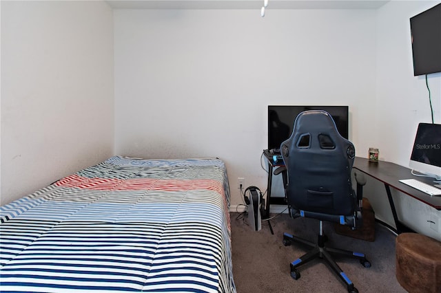 bedroom with carpet floors