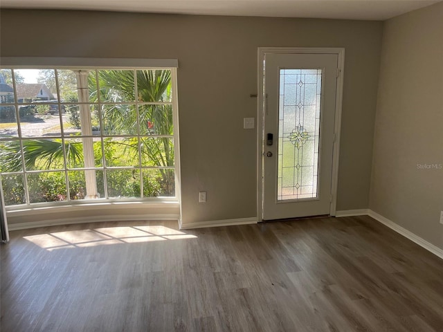 doorway to outside with dark hardwood / wood-style floors