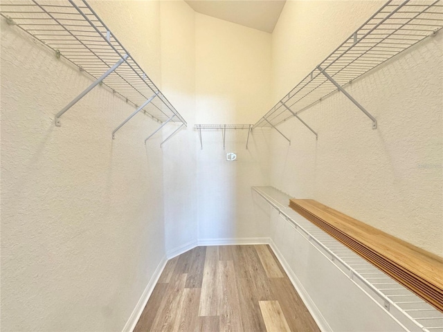 spacious closet featuring wood-type flooring