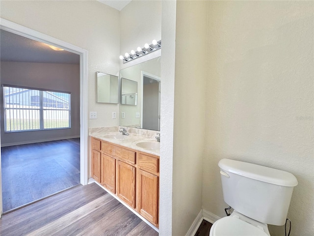 bathroom featuring vanity, toilet, and hardwood / wood-style floors