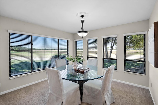 dining area with light colored carpet and baseboards