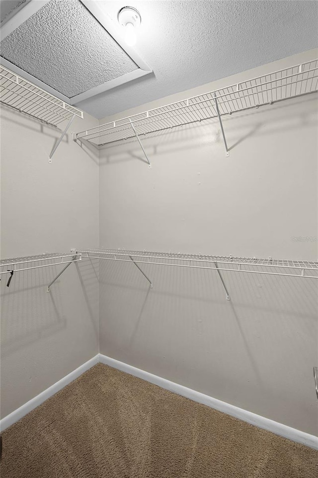 spacious closet with carpet