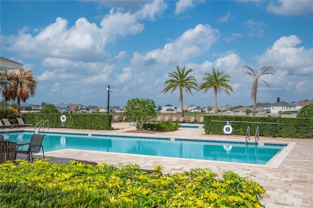 view of swimming pool with a patio