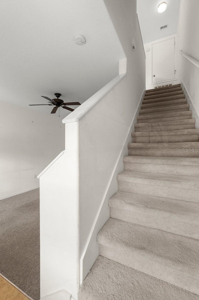 stairway with ceiling fan and carpet flooring