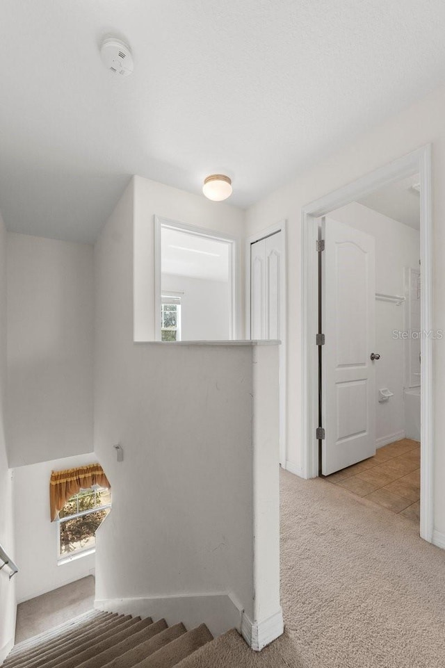 stairs with plenty of natural light and carpet floors