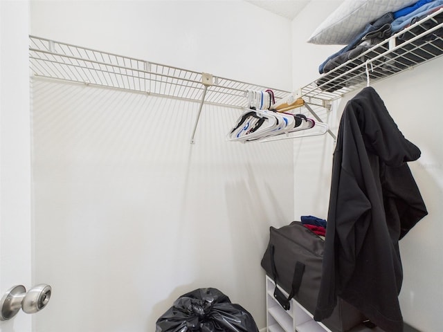 view of spacious closet