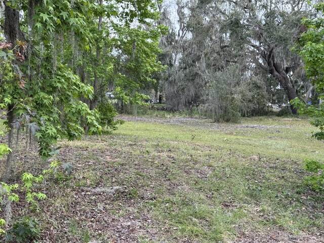 5011 Pineapple St, Lake Wales, FL 33898 - photo 11