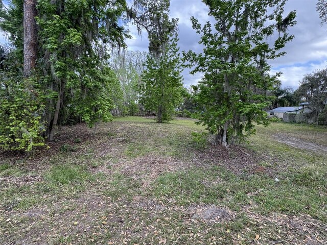 5011 Pineapple St, Lake Wales, FL 33898 - photo 12
