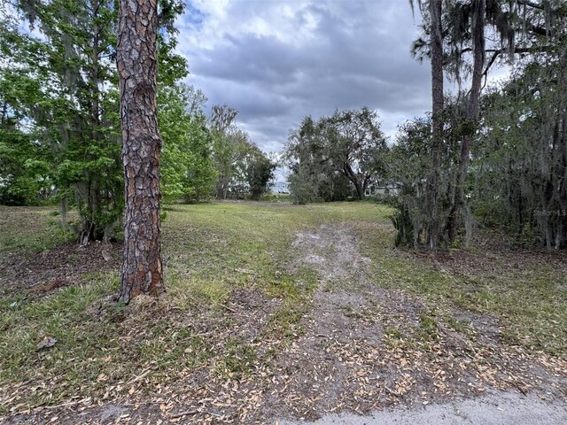 5011 Pineapple St, Lake Wales, FL 33898 - photo 13