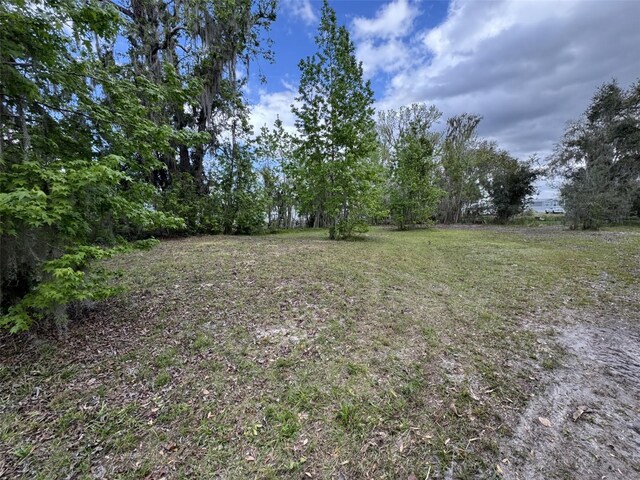 5011 Pineapple St, Lake Wales, FL 33898 - photo 15