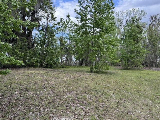 5011 Pineapple St, Lake Wales, FL 33898 - photo 16