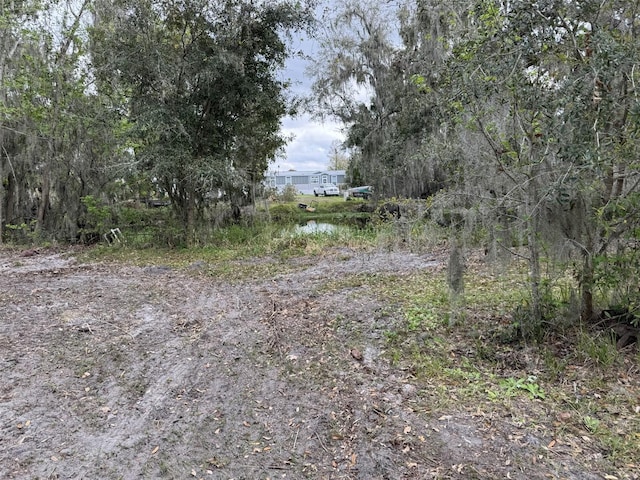 5011 Pineapple St, Lake Wales, FL 33898 - photo 19