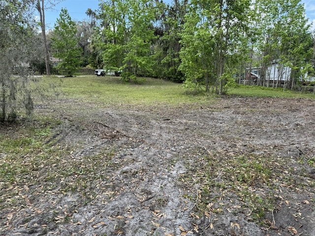 5011 Pineapple St, Lake Wales, FL 33898 - photo 20
