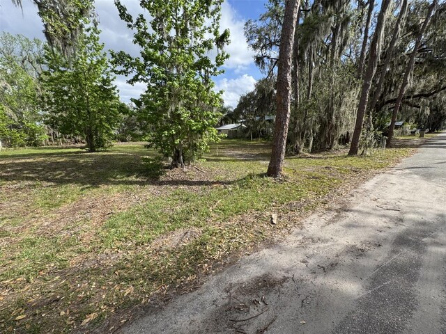 5011 Pineapple St, Lake Wales, FL 33898 - photo 24