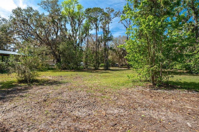 5011 Pineapple St, Lake Wales, FL 33898 - photo 5