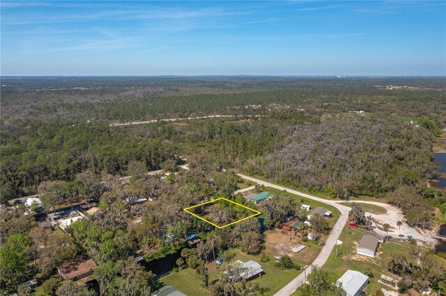 5011 Pineapple St, Lake Wales, FL 33898 - photo 28
