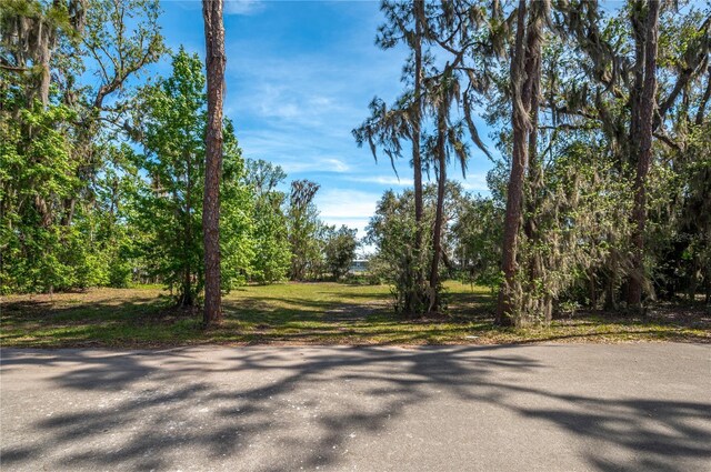 5011 Pineapple St, Lake Wales, FL 33898 - photo 29
