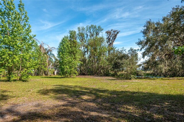 5011 Pineapple St, Lake Wales, FL 33898 - photo 30