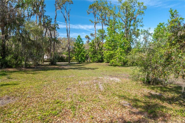 5011 Pineapple St, Lake Wales, FL 33898 - photo 31