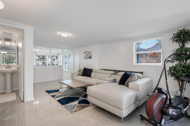 living area with crown molding and a wealth of natural light