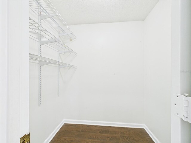 2434 Mill Run Blvd, Kissimmee, FL 34744 - spacious closet featuring dark wood-style flooring