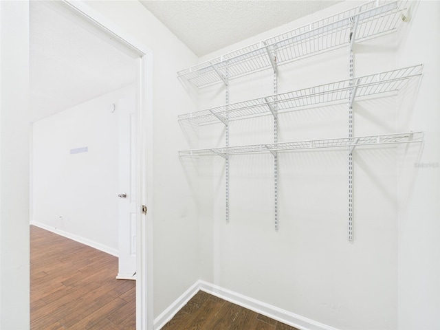 2434 Mill Run Blvd, Kissimmee, FL 34744 - walk in closet featuring dark wood finished floors