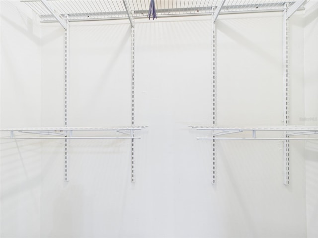 2434 Mill Run Blvd, Kissimmee, FL 34744 - view of spacious closet