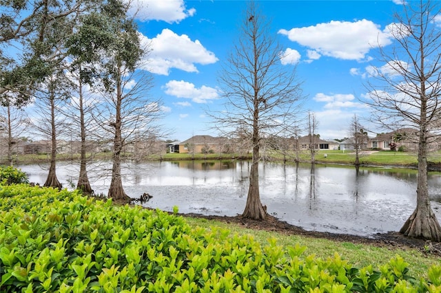 view of water feature featuring a residential view