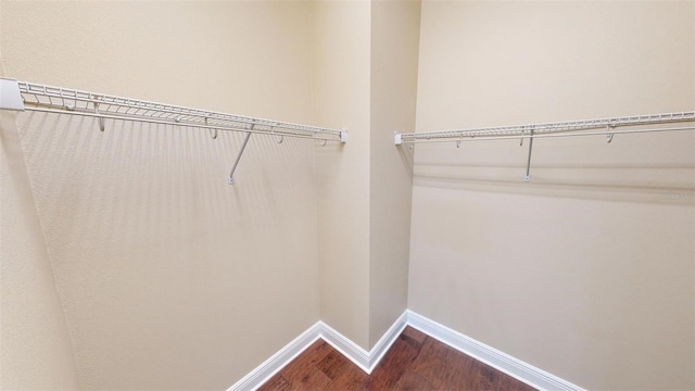 5406 Fishhawk Ridge Dr, Lithia, FL 33547 - photo 21
