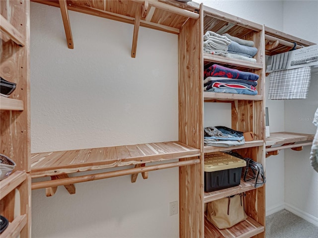 spacious closet with carpet flooring