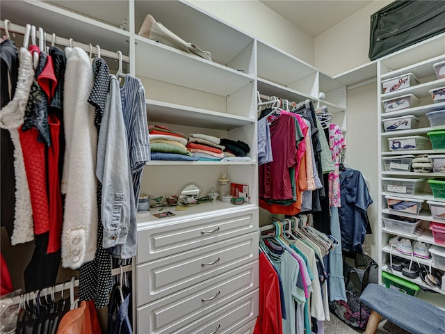 view of walk in closet