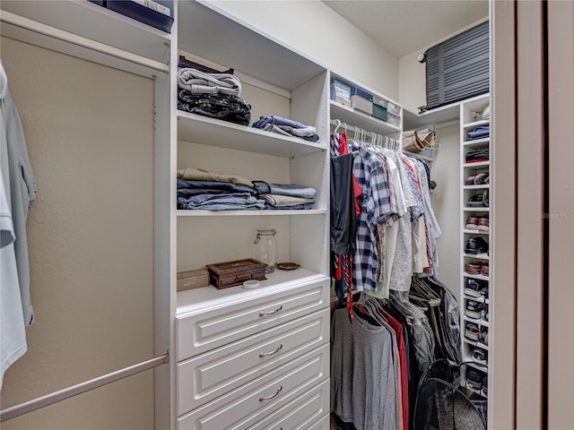 view of spacious closet