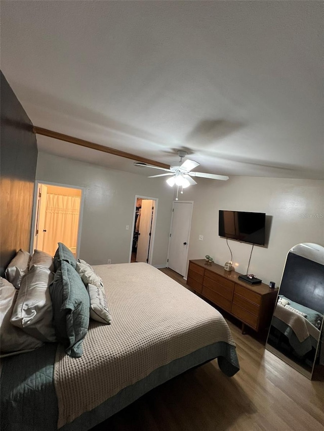 bedroom featuring light wood finished floors, a closet, a walk in closet, and a ceiling fan