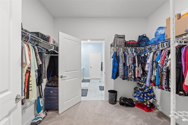 spacious closet featuring carpet