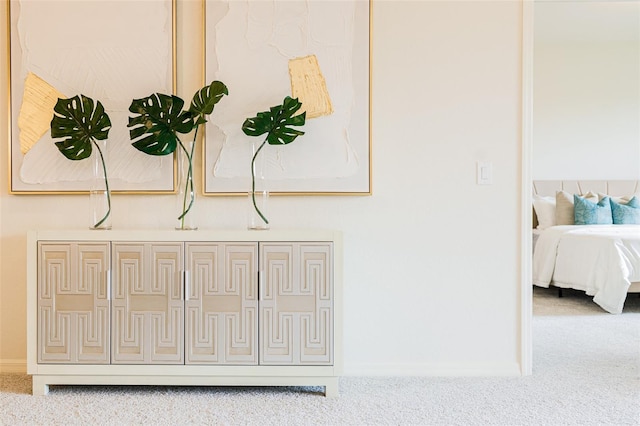 room details featuring carpet floors and baseboards