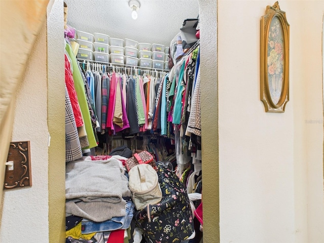 view of spacious closet