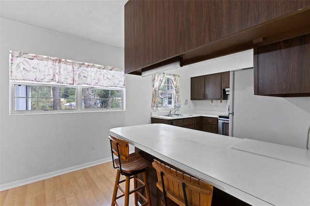 kitchen with dark brown cabinetry, baseboards, light wood-style flooring, light countertops, and a sink