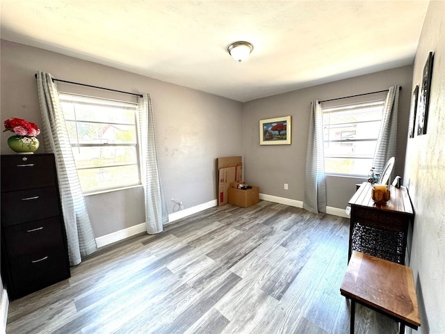 interior space with baseboards, a wealth of natural light, and wood finished floors